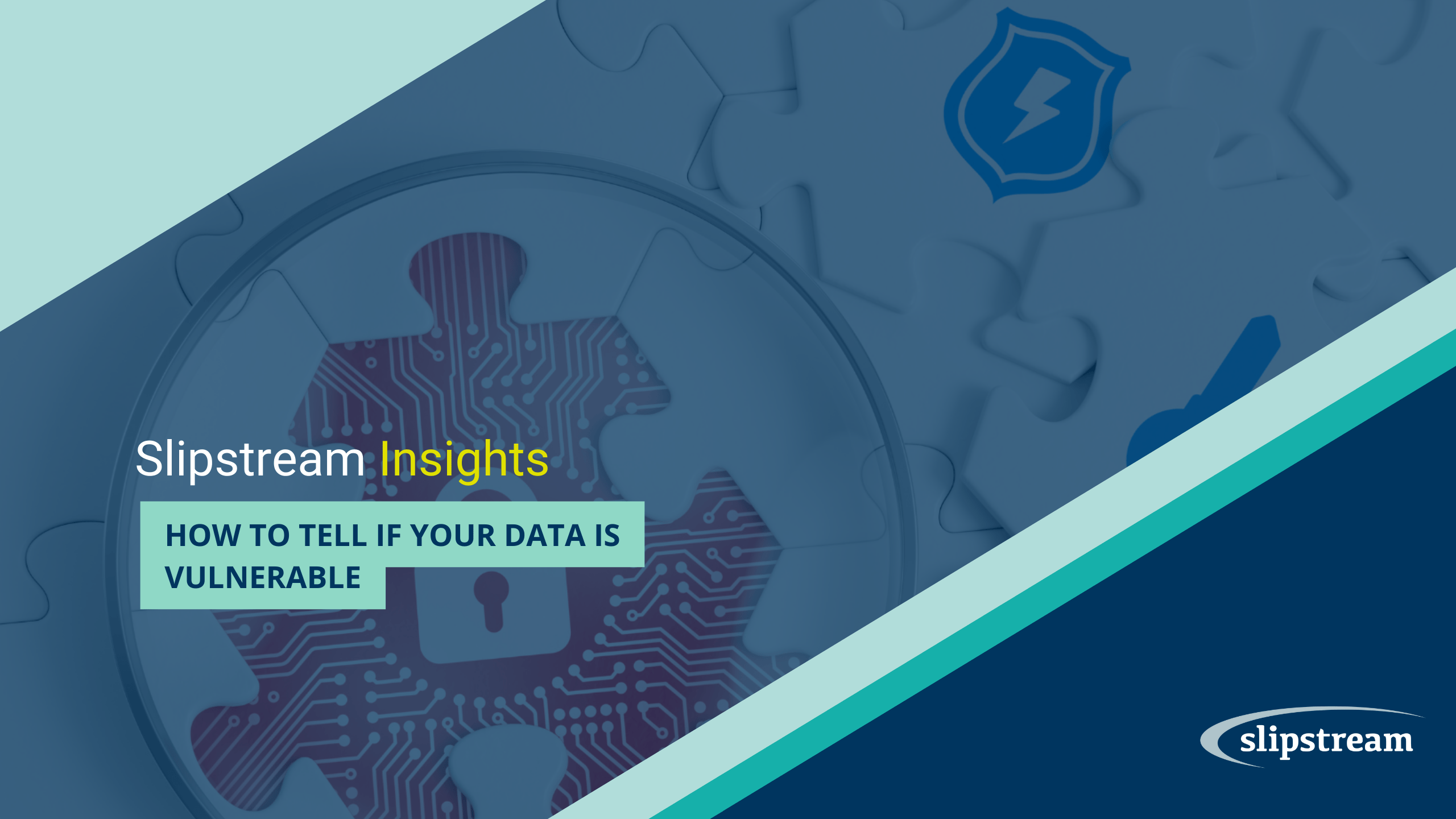 How to Tell if Your Data is Vulnerable Slipstream Insights